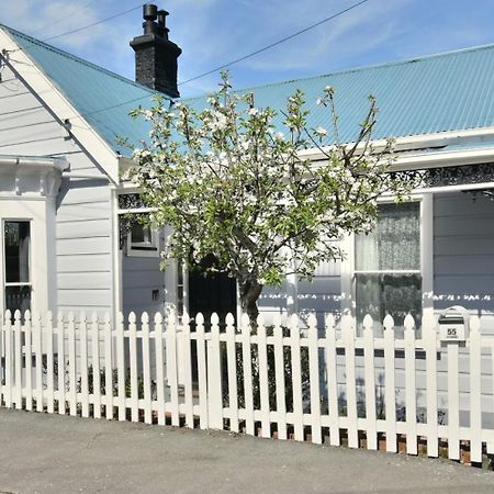 In Dunedin'S Heart, Full House, Full Sun, Full Chill, Why Stay At A Hotel When You Can Afford An Entire House Exterior foto