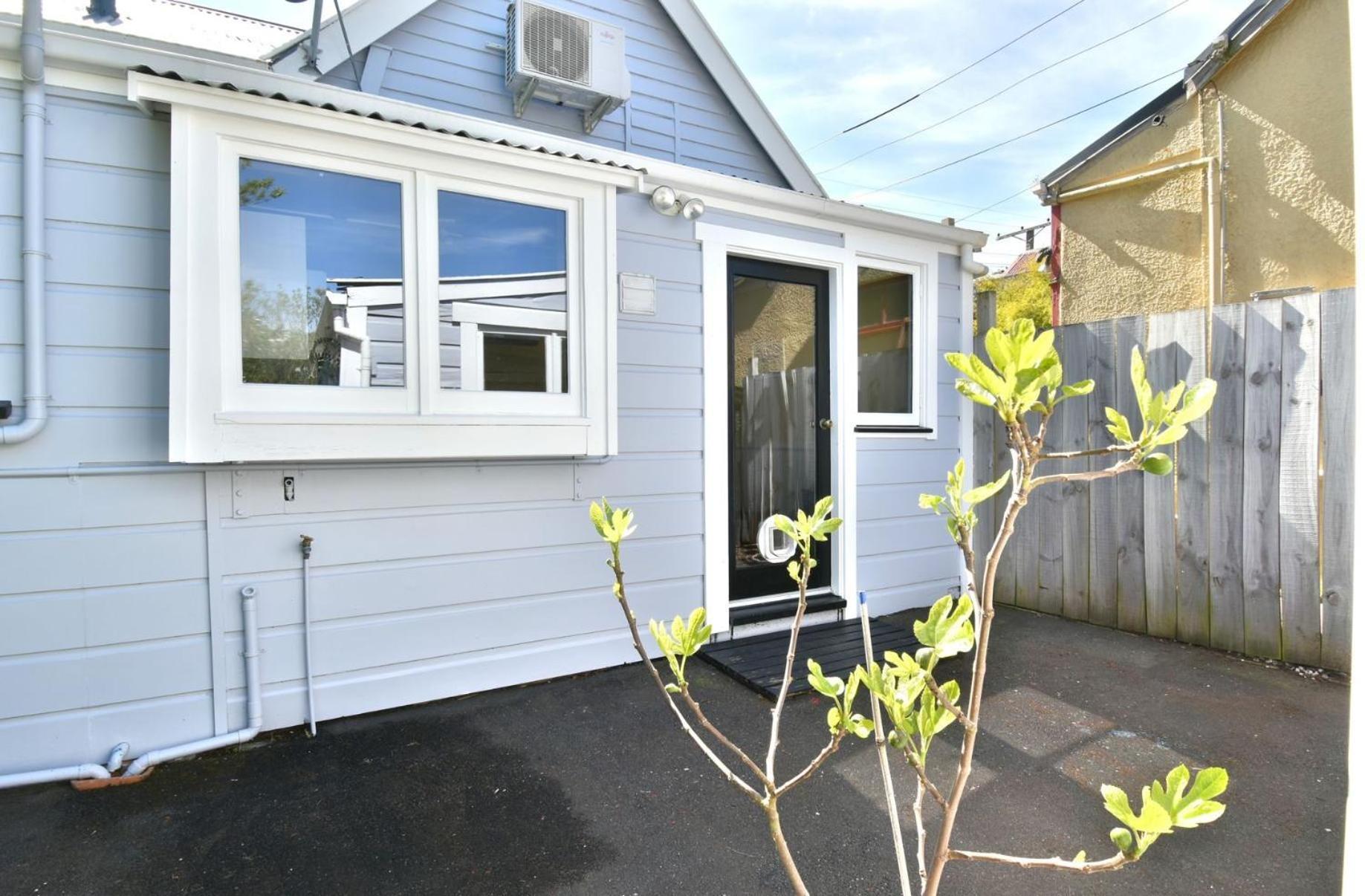 In Dunedin'S Heart, Full House, Full Sun, Full Chill, Why Stay At A Hotel When You Can Afford An Entire House Exterior foto