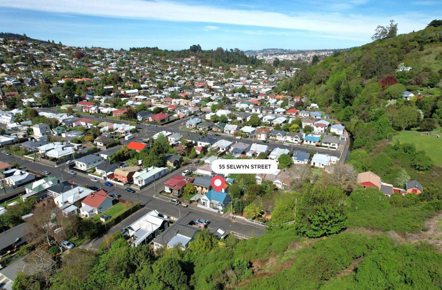 In Dunedin'S Heart, Full House, Full Sun, Full Chill, Why Stay At A Hotel When You Can Afford An Entire House Exterior foto