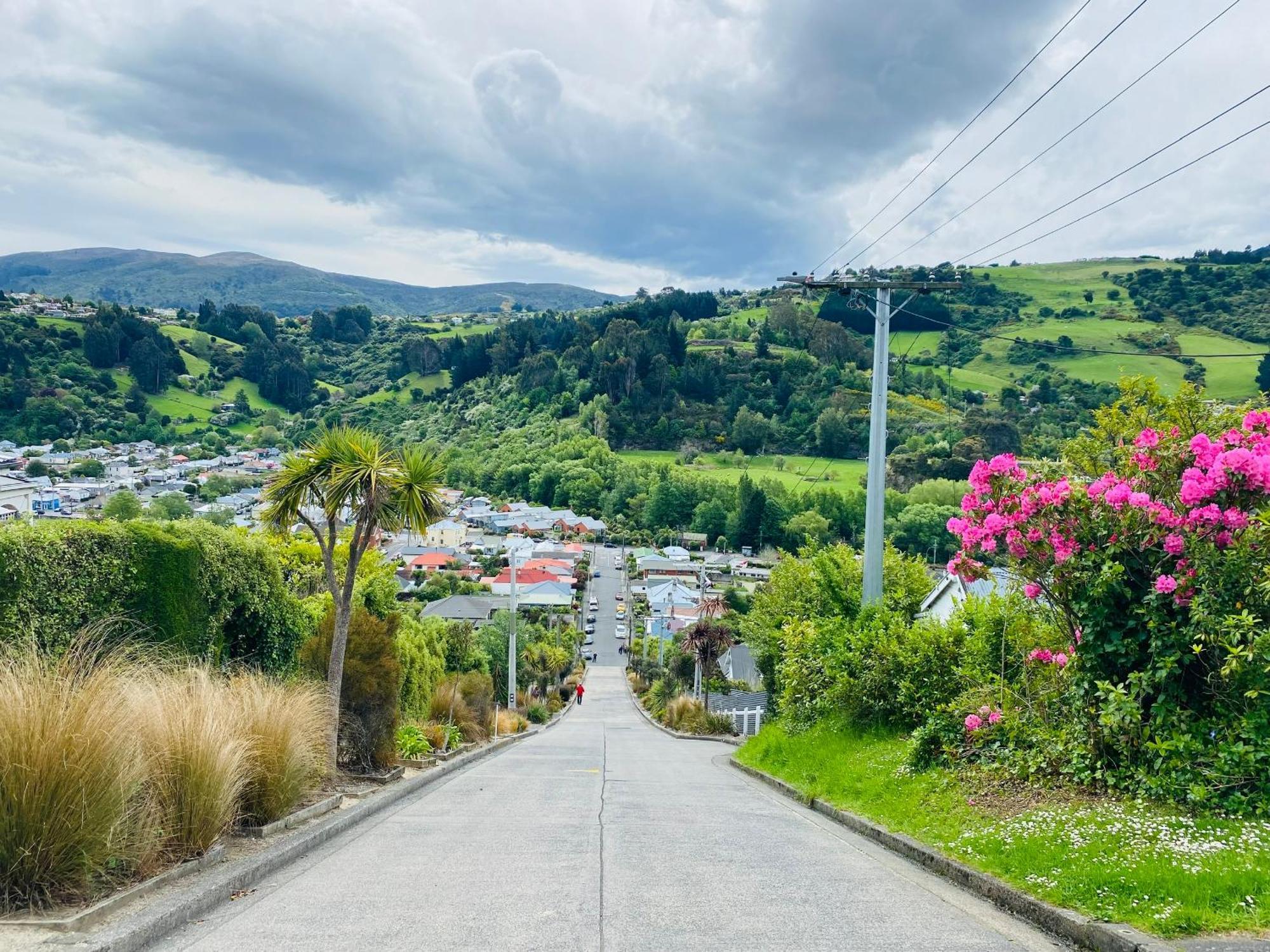 In Dunedin'S Heart, Full House, Full Sun, Full Chill, Why Stay At A Hotel When You Can Afford An Entire House Exterior foto